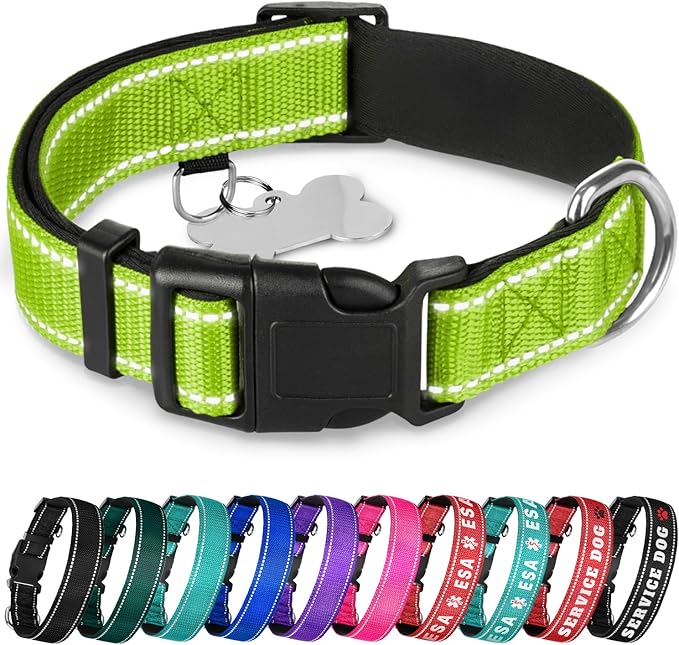 TECEUM Reflective Dog Collar β Acid Green β M β Extra Soft Padding β Basic Nylon Pet Collar β Quick Release Buckle β Fits Small, Medium and Large Dogs, Puppies, Cats β ESA & Service Dog Options