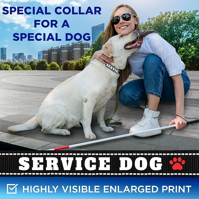 TECEUM Reflective Pet Collar β Black - Service Dog β S β Extra Soft Padding β Basic Nylon Dog Collar β Quick Release Buckle β Fits Small, Medium and Large Dogs, Puppies, Cats