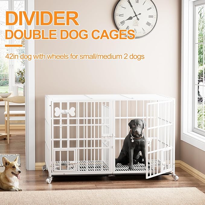 Dosker 42 inch Heavy Duty Metal Dog Crate Cage with Divider for 2 Dogs/Large Dog,All Metal Open Top Escape Proof Cage,Kennel Indoor with Wheels,2 Tray,Feeding Bowl(White)
