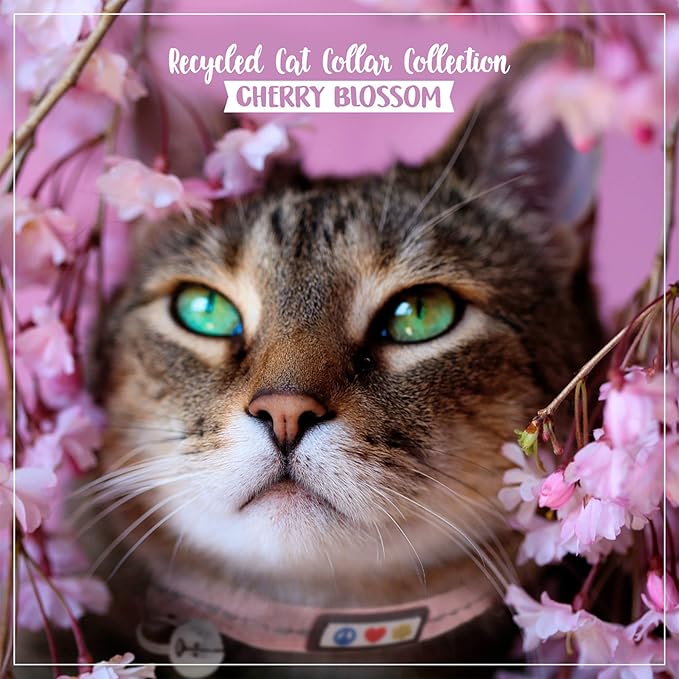 Pawtitas Recycled Cat Collar with Reflective Stitched and Safety Buckle Removable Bell Reflective Cat Breakaway Collar Made from Plastic Bottles Pink Cherry Blossom Cat Collar