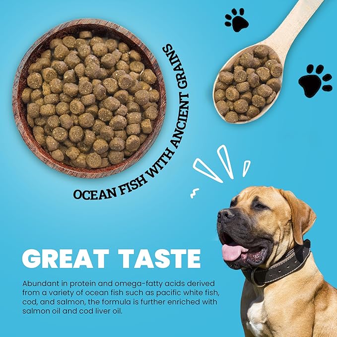Muenster Ancient Grains Ocean Fish Dry Dog Food, 22lb - Gluten-Free, High Protein, Digestive Support
