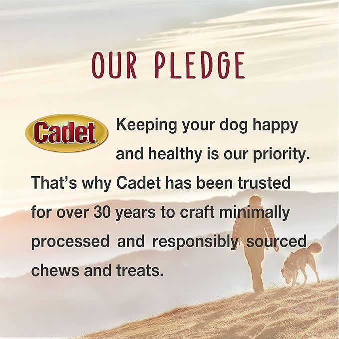 Cadet Gourmet 5-Inch Pork Hide Twist Chew Sticks, Long-Lasting and Natural Rawhide Chews for Dogs, Inspected & Tested in USA, Chicken Flavor, 22 Count