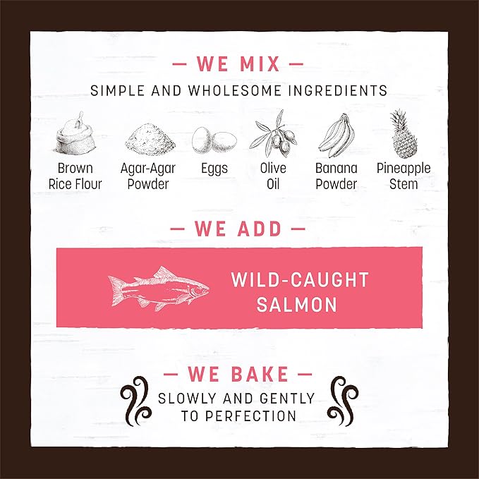 Earth Animal No Hide Medium Salmon Flavored Natural Rawhide Free Dog Chews Long Lasting Chew Sticks | Treats for Large Dogs | Great for Aggressive Chewers - 6 Count