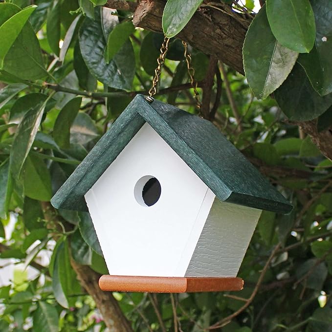 HomePro Garden Hanging Wren House: Forest Green Poly Lumber Bird House for Outdoors