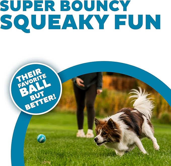 Outward Hound Squeaker Ballz 4-Pack Tennis Ball Dog Toys with Squeaker, Interactive Fetch Play for Pets Under 25 lbs, Training Balls for Indoor & Outdoor Exercise, Small, 2-inch