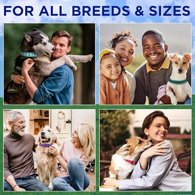 TECEUM Reflective Dog Collar β Olive β XXS β Extra Soft Padding β Basic Nylon Pet Collar β Quick Release Buckle β Fits Small, Medium and Large Dogs, Puppies, Cats β ESA & Service Dog Options