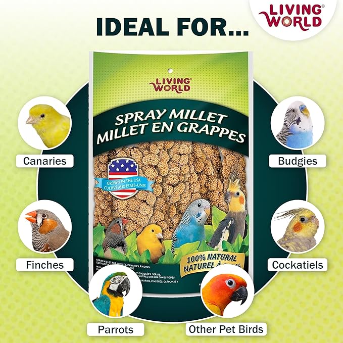 Living World – Millet Spray for Birds, 5 Pounds – Premium Treat for Budgies, Canaries, Finches, Cockatiels and Other Pet Birds