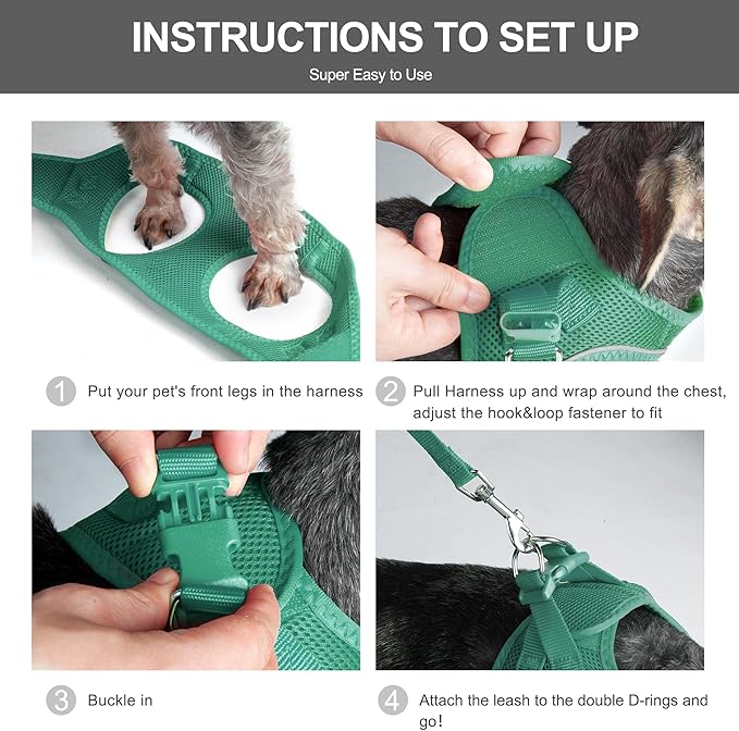 Fida Cat Harness and Leash Set for Walking Kitten and Puppy, Escape Proof Kitten Harness with Breathable Lightweight Soft Mesh, Adjustable Reflective Step-in Design. (XS, Green)