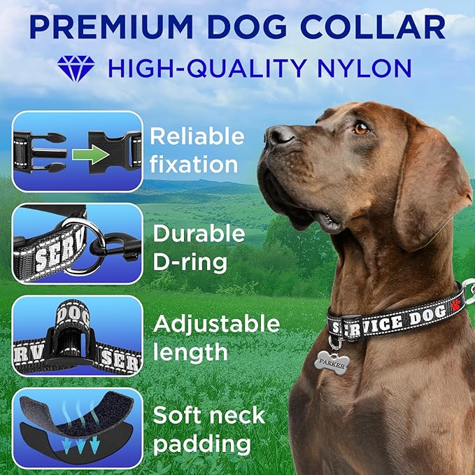 TECEUM Reflective Pet Collar β Black - Service Dog β XL β Extra Soft Padding β Basic Nylon Dog Collar β Quick Release Buckle β Fits Small, Medium and Large Dogs, Puppies, Cats