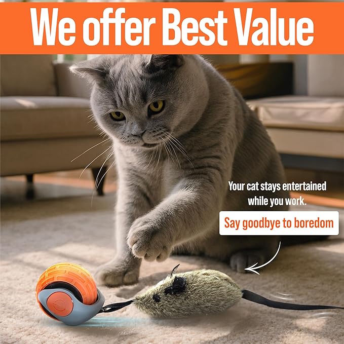 Motion Activated Self-Moving Cat Toys Ball – GlobalSun Speedy Tail 2.0 Automatic Rolling Cat Toy with Mouse & Feather Tails, USB Rechargeable Interactive Cat Toy for Indoor Cats
