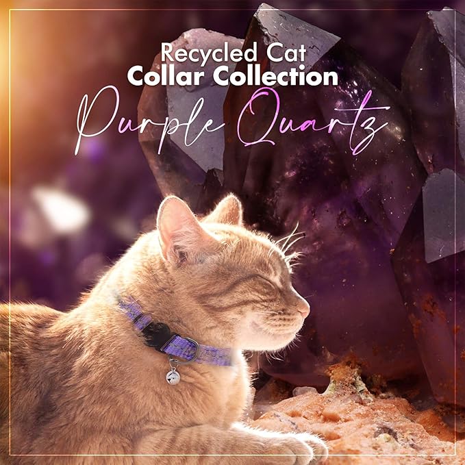Pawtitas Recycled Cat Collar with Reflective Stitched and Safety Buckle Removable Bell Reflective Cat Breakaway Collar Made from Plastic Bottles - Purple Quartz Cat Collar.