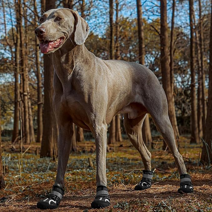 Dog Shoes, Waterproof Dog Boots & Paw Protectors with Anti-Slip Sole, 4pcs/Set Pet Dog Booties, Reflective Dog Shoes for Small Medium Large, Winter Snowy Summer Hot Pavement (Black, 7# (XL))