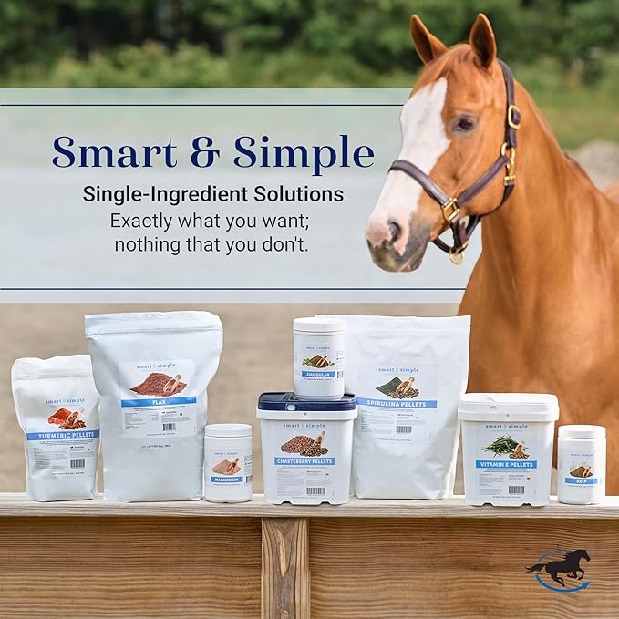 Nutrition Essentials SmartPak | Nutritional Supplement for Horses | Containing Essential Vitamins, Minerals, Amino Acids, and Omega 3 | Healthy Skin & Horse Coat | 28 Days Supply