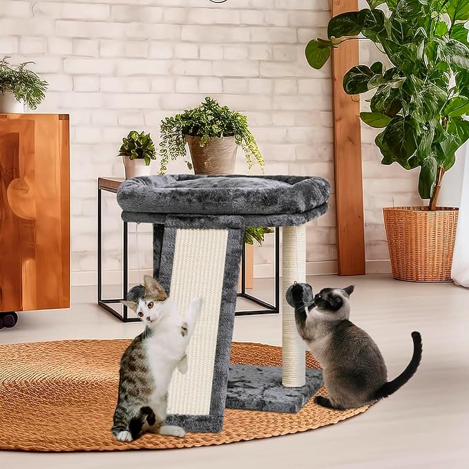 SYANDLVY Small Cat Tree with Perch, Cat Scratching Board for Indoor Cats, Scratching Post with 2 Dangling Balls, Great for Kittens (Smoky Grey)