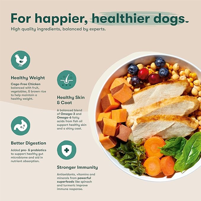 Jinx Premium Grain-Free Dry Dog Food, for All Lifestages - Real Chicken, Sweet Potato & Carrot Kibble with Superfoods for Immune Support & Probiotics for Digestive Support - No Fillers - 11.5lb