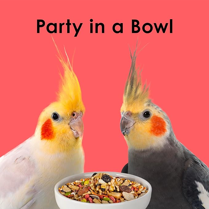 Kaytee Fiesta Cockatiel Food, Nutritious and Fun Blend, Supports Skin, Feather, Digestion, Brain and Heart Health, 2.5 pounds