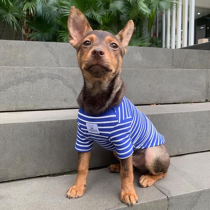 YQYS Pet T-Shirts Thick Striped Cotton Tee Shirt for Small Dogs and Cats Puppy Clothes Apparel Clothing for Teacup Chihuahua Yorkie Poodle Blue White XXSmall