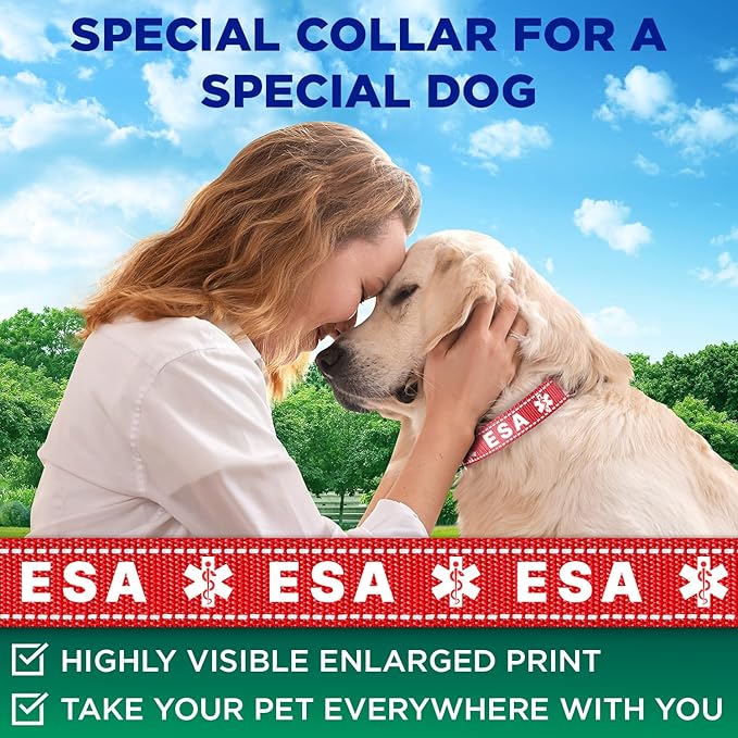 TECEUM Reflective Pet Collar β Red - ESA β S β Extra Soft Padding β Basic Nylon Dog Collar β Quick Release Buckle β Fits Small, Medium and Large Dogs, Puppies, Cats β ESA & Service Dog Options
