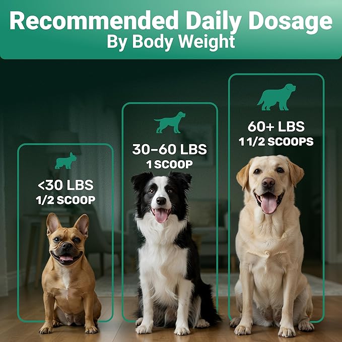 Daily Collagen for Dogs - Boosts Muscle Health & Overall Stamina - Premium All Natural Ingredients Dog Collagen Powder - Supports Mobility and Flexibility, Easy to Mix Powder, Made in USA