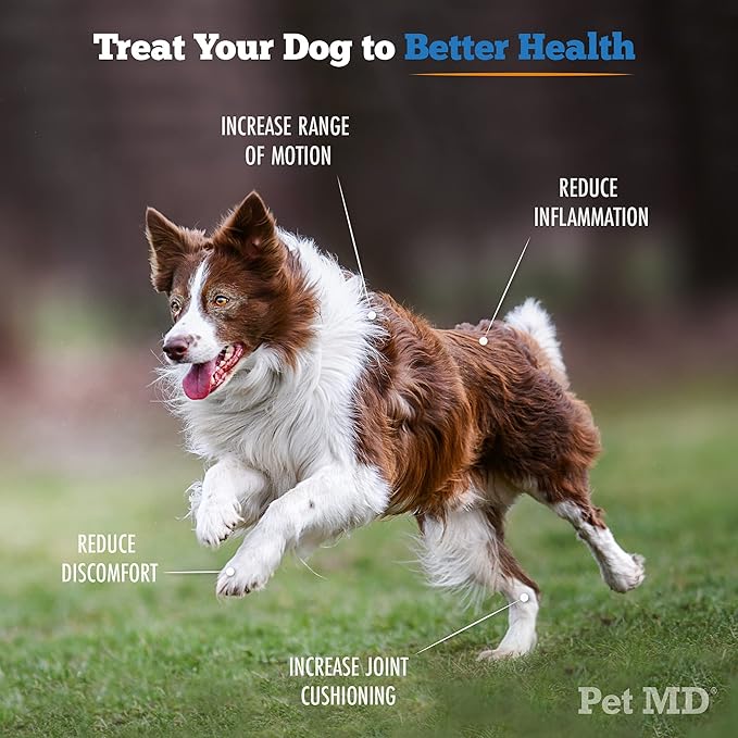 Pet MD Advanced Ear Wipes + Advanced Hip & Joint