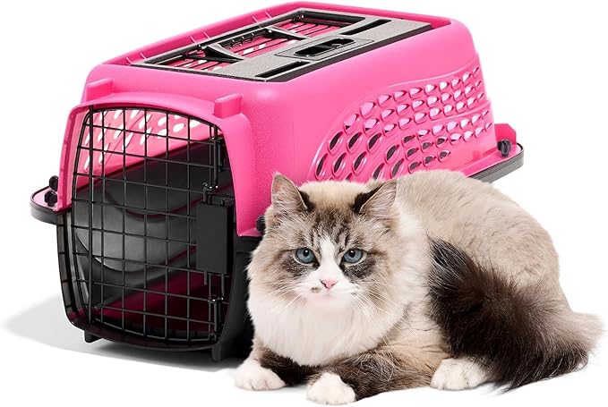Petmate Dog Crates for Small Dogs & Cat Carriers, Two-Door Plastic Pet Kennel, Top & Front Loading, Made in USA, XS 19" For Dogs Up To 10 lb, Pink