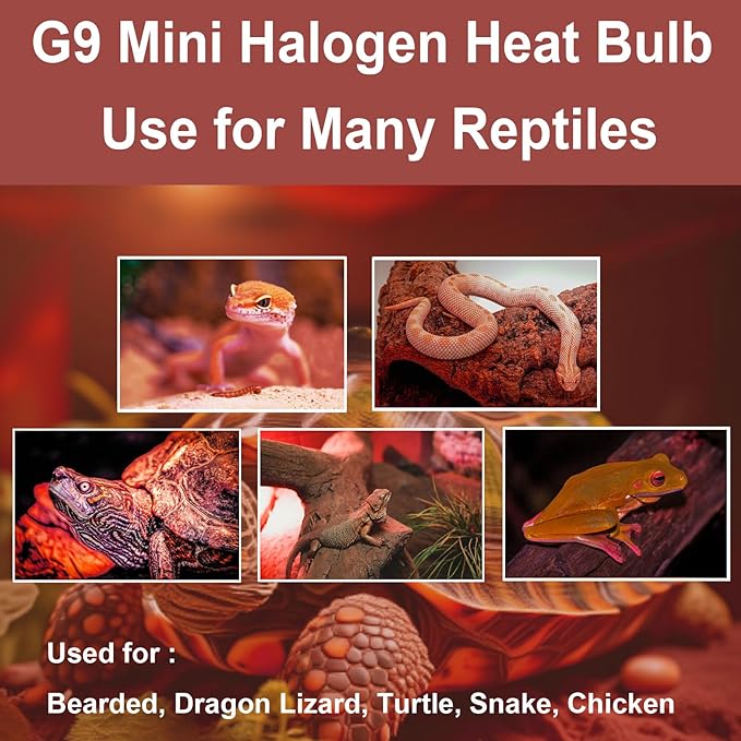G9 Heat Lamp Bulbs for Reptile,Night Red, Mini Halogen Bulb 50W, Infrared Reptile Heat Lamp for Bearded Dragon Gecko Turtle Lizard, Pack of 3