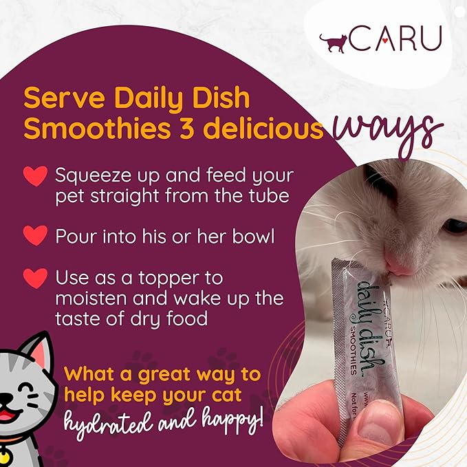 Caru - Daily Dish Smoothies - Lickable Chicken & Salmon Cat Treat - 4 Pouches per Pack - Pack of 12