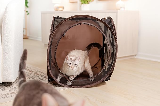 Chonky Cat Playground Set β Tunnel + Tent Combo for Maximum Zoomies