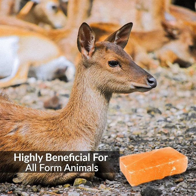 Licking Salt for Deer Block - Animal Licking Mineral Salt Block, Natural Feed Salt Rock for Horse, Deer & Animal, 10 Pound, 2 Counts