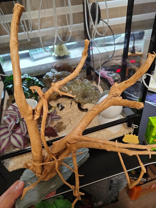 Natural Large Spider Wood Driftwood for Aquarium, Terrarium, Vivarium, and Reptile, Aquarium Décor, Reptile Tank, Aquarium décor Wood Aquascaping Wood for Reptile Enclosure (9-14inch)