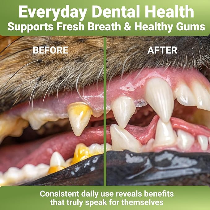 Dog Teeth Cleaning Powder with Probiotics – Dog Dental Care for Plaque & Tartar Remover – Effective Dog's Teeth Care & Oral Hygiene for Fresh Breath – USA Made Dental Powder for Dogs Teeth