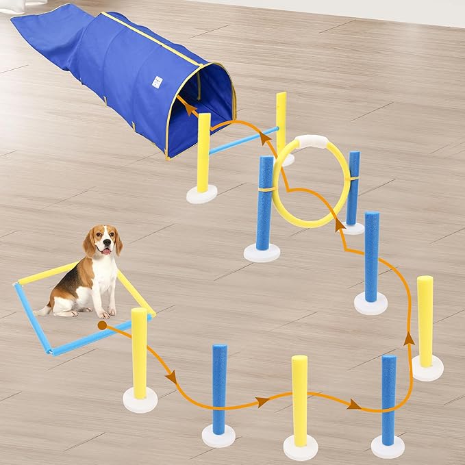 Pet Agility Training Equipment Set with Stable Tunnel,Dog Interactive Obstacle Jump Ring Kit for Indoor