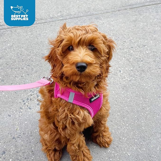 Best Pet Supplies Voyager Step-in Air Dog Harness - All Weather Mesh, Reflective, No Pull Harness for Small, Medium Dogs, Cats - Secure with Hook & Loop Fastener, Buckle, Double D-Rings - Fuchsia, XL