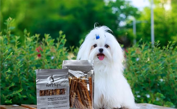 Thick 6" Bully Sticks (2 POUNDS) for Large & Medium Dogs, for Aggressive Chewers, Natural & Fully Organic, 100% Beef Pizzle Dog Chew, Fully Digestible Dental Treats (6 inch, 2 lb / 32 oz)