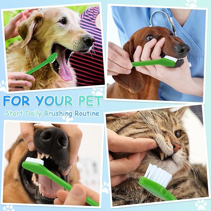 Dog Tooth Brush Pet Toothbrush Soft Grooming Dogs Toothbrush Dog Double Sided Puppy Long Handle Brush for Large and Small Teeth Cleaning Dental Oral Care(70 Count,Green)