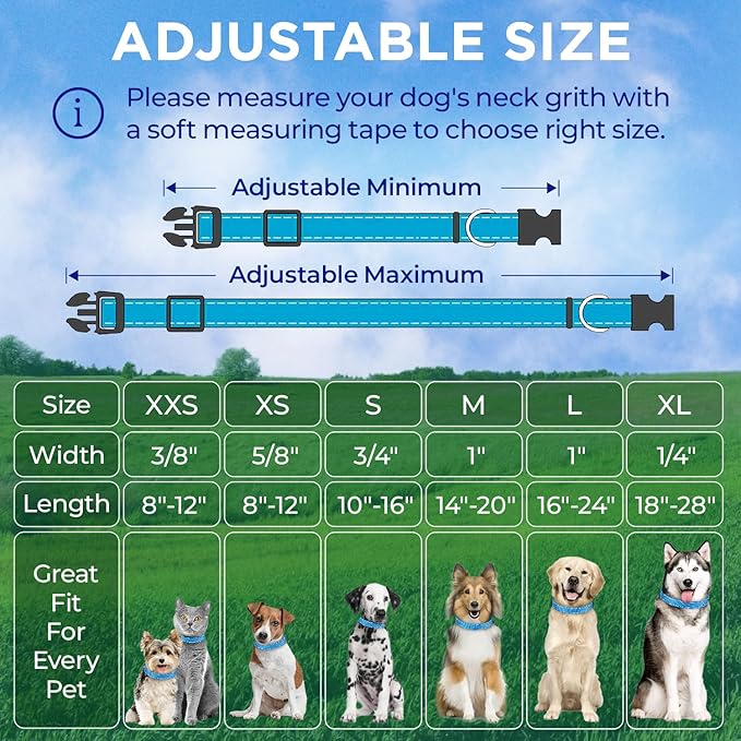 TECEUM Reflective Dog Collar β Sky Blue β M β Extra Soft Padding β Basic Nylon Pet Collar β Quick Release Buckle β Fits Small, Medium and Large Dogs, Puppies, Cats β ESA & Service Dog Options