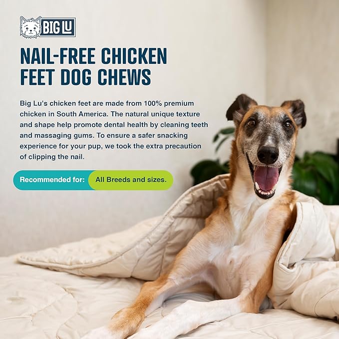 Big Lu – Nail-Free Chicken Feet Dog Chews, 100% Natural Single-Ingredient Treats, Rawhide-Free, Long-Lasting, Rich in Glucosamine and Chondroitin for Joint Health (60 Count)
