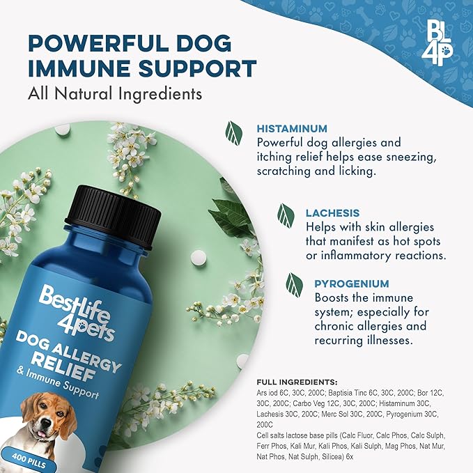 Dog Allergy Relief & Immune Support, Natural Holistic Itch Relief for Dogs, Immune System Guard and Allergy Support, Including Seasonal Allergies, Sneezing, Runny Nose and Itching, 400 Small Pills