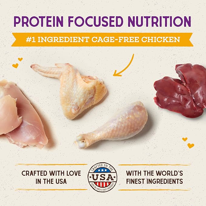 Stella & Chewy's Raw Coated Cat Food - High Protein, Grain-Free Kibble with Cage-Free Chicken - Premium Digestive Support with Probiotics - Natural Small Kibble - Perfect For Picky Eaters - 10 lb Bag