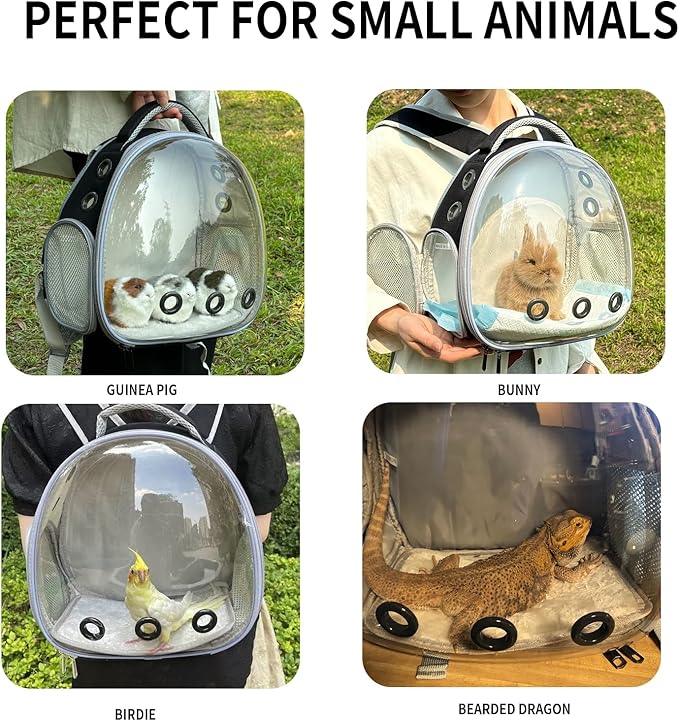 Bearded Dragon Lizard Backpack Carrier with Harness and Leash Set, Small Animal Carrier Backpack, Space Capsule Bubble Window, Small Pet Carrier Backpack, Airline Approved (Black)