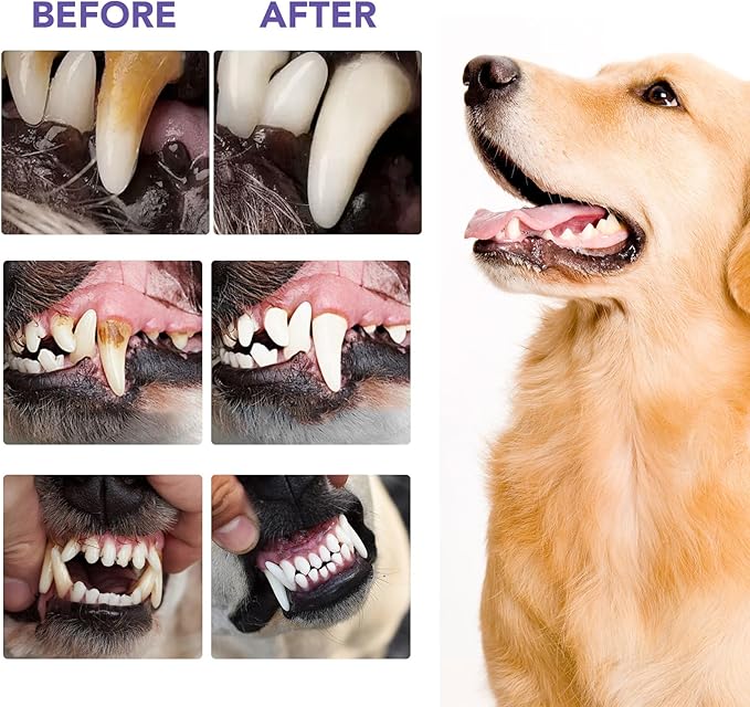 Dog Dental Powder, Dog Breath Freshener, Dog Teeth Cleaning Powder, Dog Dental Care, Plaque & Bad Breath Off Powder Dog, Teeth Cleaning Made Easy Eliminate, Formulated for Small, Medium, Large Dogs