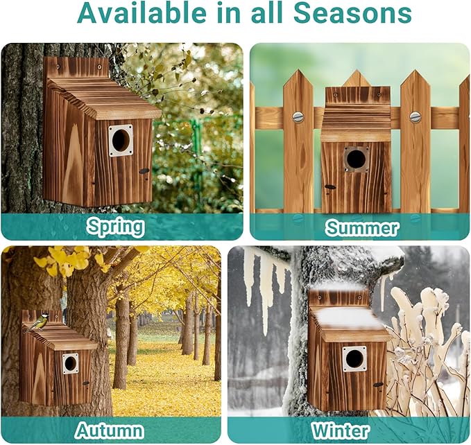 2 Pack Bird Houses for Outside with Metal Predator Guard for Bluebird Wren Swallow Finch-Carbonized Wooden Nesting Boxes for Outdoor Sturdy Bird House,Easy to Clean,No Assembly Needed