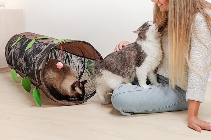 Chonky Cat Playground Set β Tunnel + Tent Combo for Maximum Zoomies