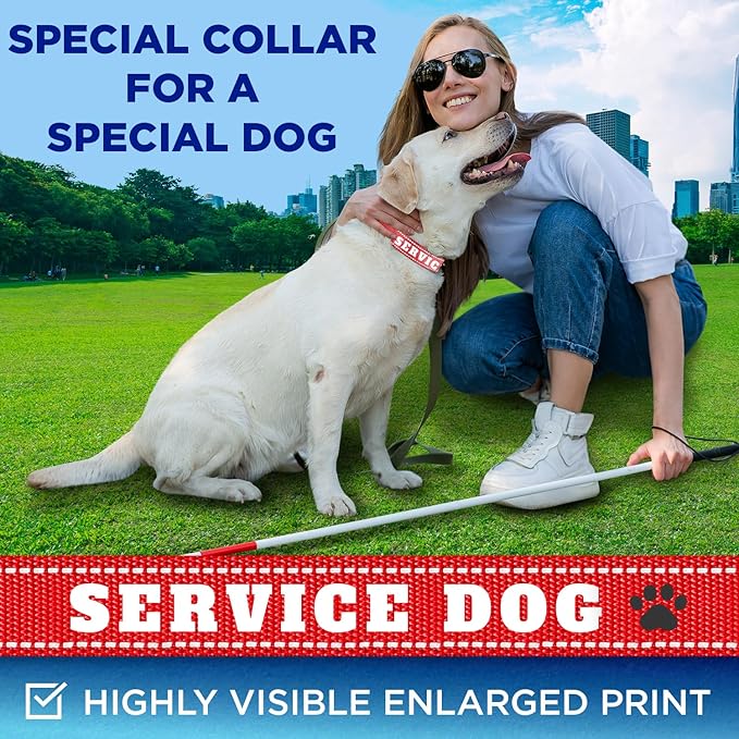 TECEUM Reflective Pet Collar β Red - Service Dog β XL β Extra Soft Padding β Basic Nylon Dog Collar β Quick Release Buckle β Fits Small, Medium and Large Dogs, Puppies, Cats