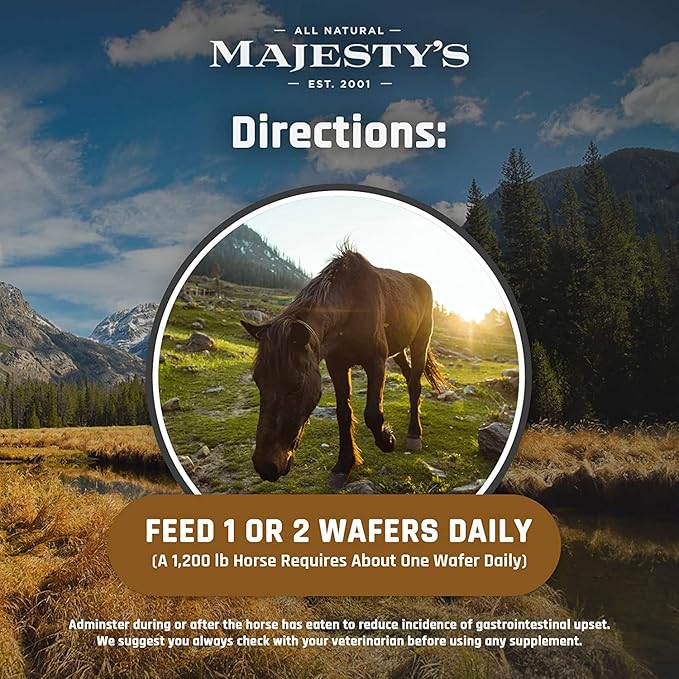 Majesty's Omega Wafers - Superior Horse/Equine Skin, Coat, and Immune Support Supplement - Omega 3, 6, 9, and Biotin (Peppermint, 60 Count)