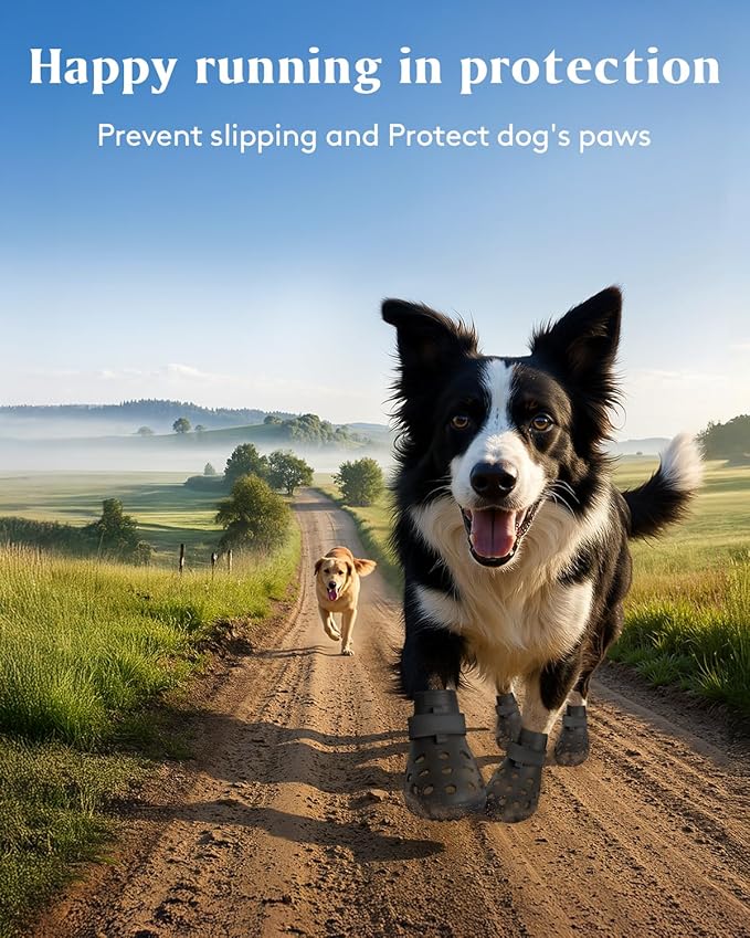 Dog Shoes for Hot Pavement, Breathable Dog Boots Paw Protectors with Adjustable Straps & Non-Slip Sole, Easy On & Off, Waterproof, Easy-Cleaning (Black, L)