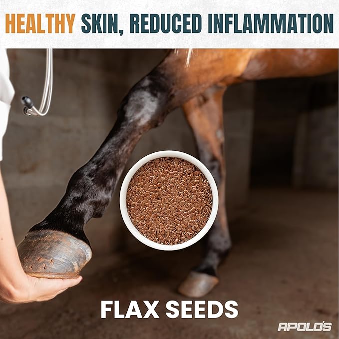 Greenfit APOLO'S 100% Natural Horse Supplement for Daily Feeding – Joint Support, Coat Shine & Strength | Flaxseed, Quinoa, Chia | 10 LB Bag