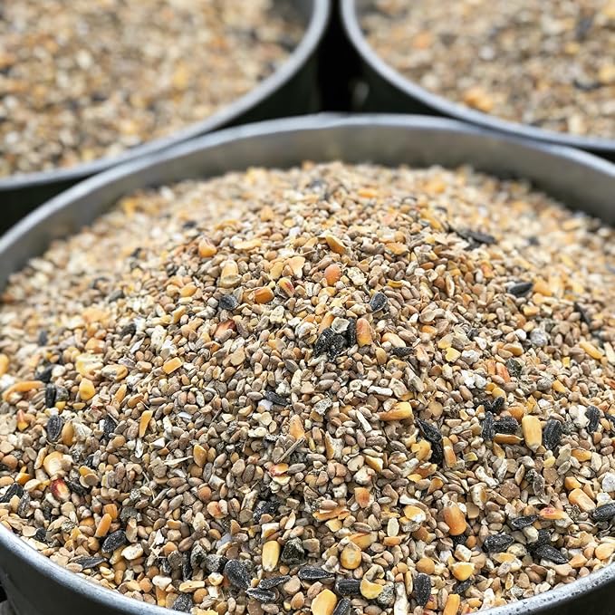 Non-GMO Whole Grain Layer Blend 16% - Chicken Feed for Laying Hens and Ducks - Includes Essential Oils, Herbs, Oyster Shells, Vital Minerals, and Omega 3, 40lb