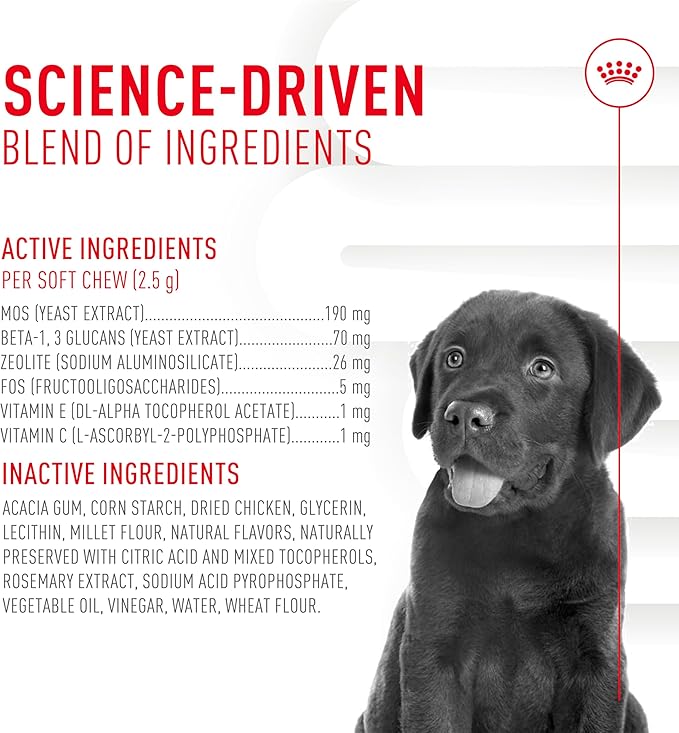 Royal Canin Puppy Supplement Immunity & Digestion Chew Pouch 5.29 oz (60 Count)