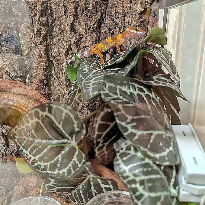 Reptile Plants for Terrarium,Amphibian Habitat Decor,Artificial Plants for Gecko Chameleon Snake Tortoise Bearded Dragon Tank Accessories with Base(Anthurium Crystallinum)